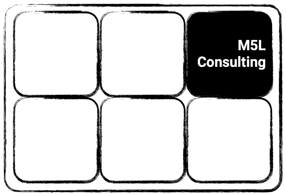 M5L Consulting